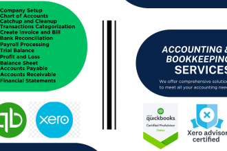 do bookkeeping cleanup setup bank recon profit and loss