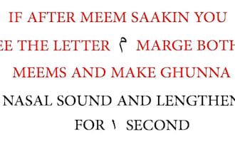 be your female quran tutor, arabic language tutor