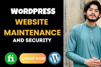 fix wordpress bugs, errors, and issues professionally