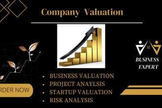 do business valuation and financial modelling