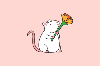 make cute animal and cartoon illustrations