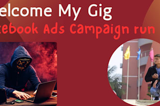 be setup your fb business page ads campaign run