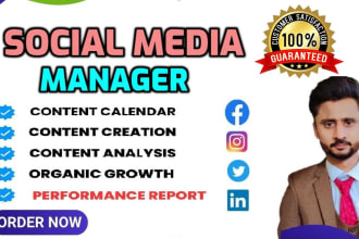 be your social media marketing manager, instagram manager and content creator