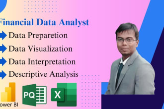 professionally financial data analyst