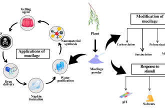 craft graphical abstracts illustrations and figures