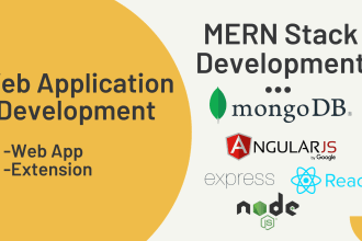 build web app with mern stack development and AWS deployment