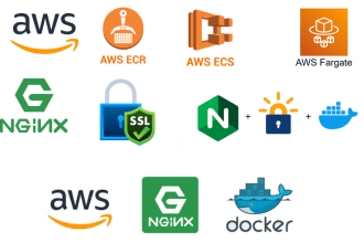 deploy ecs via copilot, solve docker ecs issues, setup nginx and configure SSL