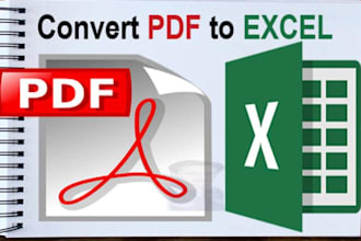 convert PDF to excel spreadsheet or data entry accurately in 24 hours