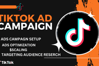run successful tik tok ads campaign, tik tok ads manager, tiktok marketing run