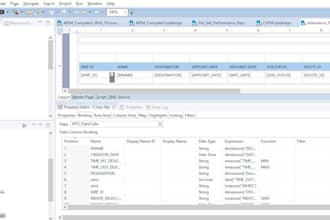 create custom birt reports for your business