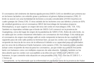 large PDF conversion, translated into french german spanish