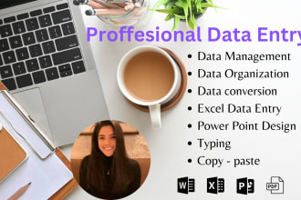 be your virtual assistant for data entry and admin support