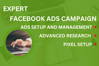 setup facebook ads campaign for any business
