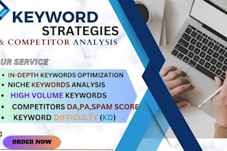 run in depth keyword strategies and competitor insights