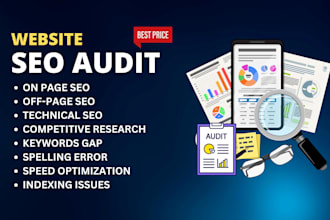 expert SEO audit and website analysis on page off page and link building
