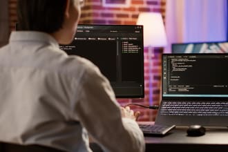 professional wordpress bug fixes and error resolution services