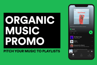 pitch your song to spotify playlist curators and music blogs