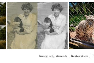 do photoshop editing including photo retouching or resizing