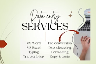 provide you pp presentation slides and data entry tasks