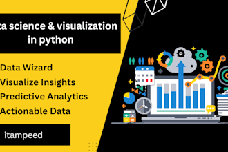 provide data science and data visualization services