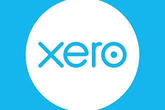 be your xero accountant