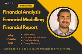 do financial analysis, financial modeling, and reports