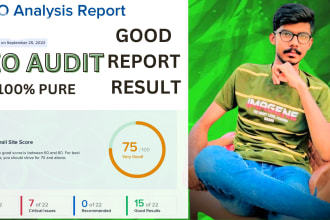 create professional site audit report ,site seo audit report