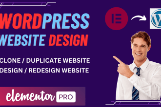 redesign,copy,clone or duplicate business wordpress website