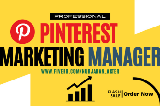 be your professional pinterest marketing manager