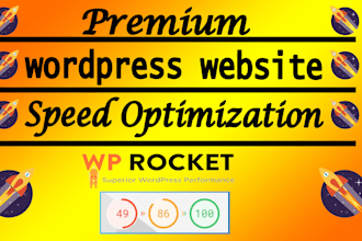 do premium wordpress website speed optimization