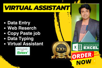 do virtual assistant for data entry typing copy paste web research at low price