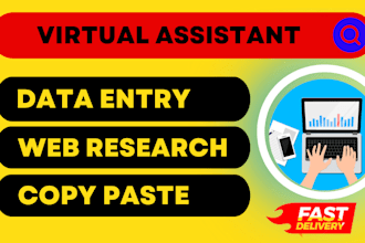 do data entry in low price