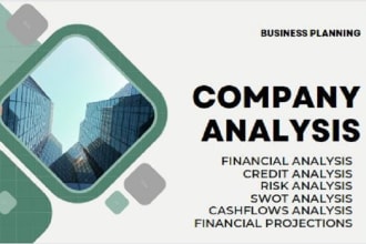 financial analysis and planning, company analysis, credit analysis