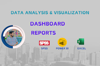 be your expert spss, excel and power bi analyst for statistical data analysis