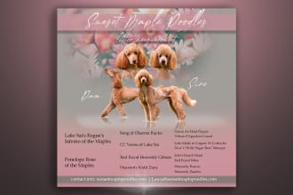 design a premium dog stud, litter announcement or kennel flyer