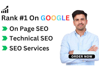 do complete website onpage SEO and technical optimization of wordpress site