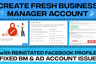 create and fix facebook ads manager also optimize campaign