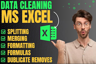 do excel data cleaning, formatting, formulas, data split