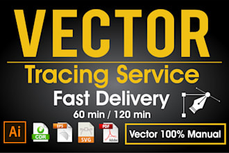 redraw, vectorize, convert your image into a vector file