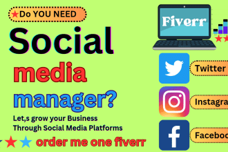 be expert your social media manager and content creator