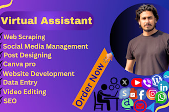 be your full time virtual assistant