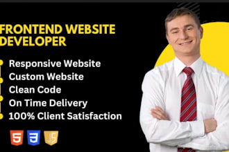 do professional  frontend web development and mentinanace