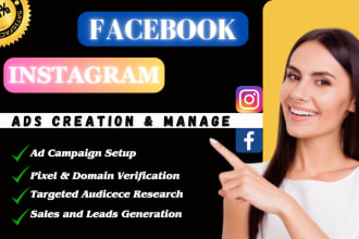 be your professional facebook ad manager, fb ads campaign and instagram ads