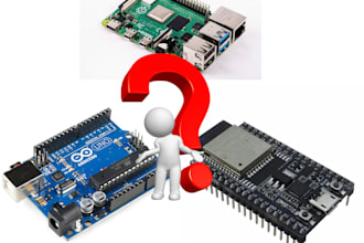 do arduino,esp,raspberry pi based programming and projects