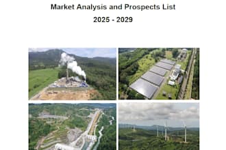 provide indonesia renewable energy market analysis report