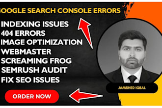 do technical website audit , fix errors and boost SEO