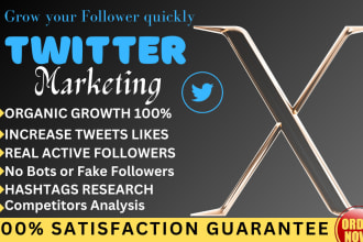do organic x twitter marketing to growing follower quickly