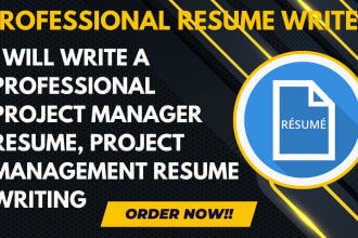 write a professional project manager resume, project management resume writing