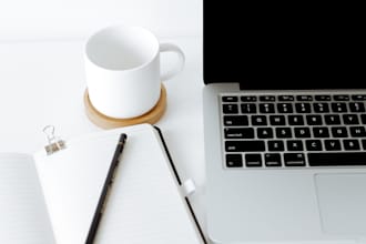 excel data entry, copy paste, typing, and web research