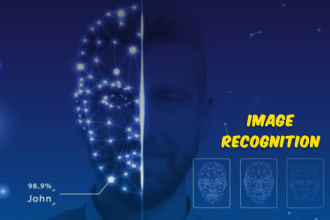 custom image recognition solutions